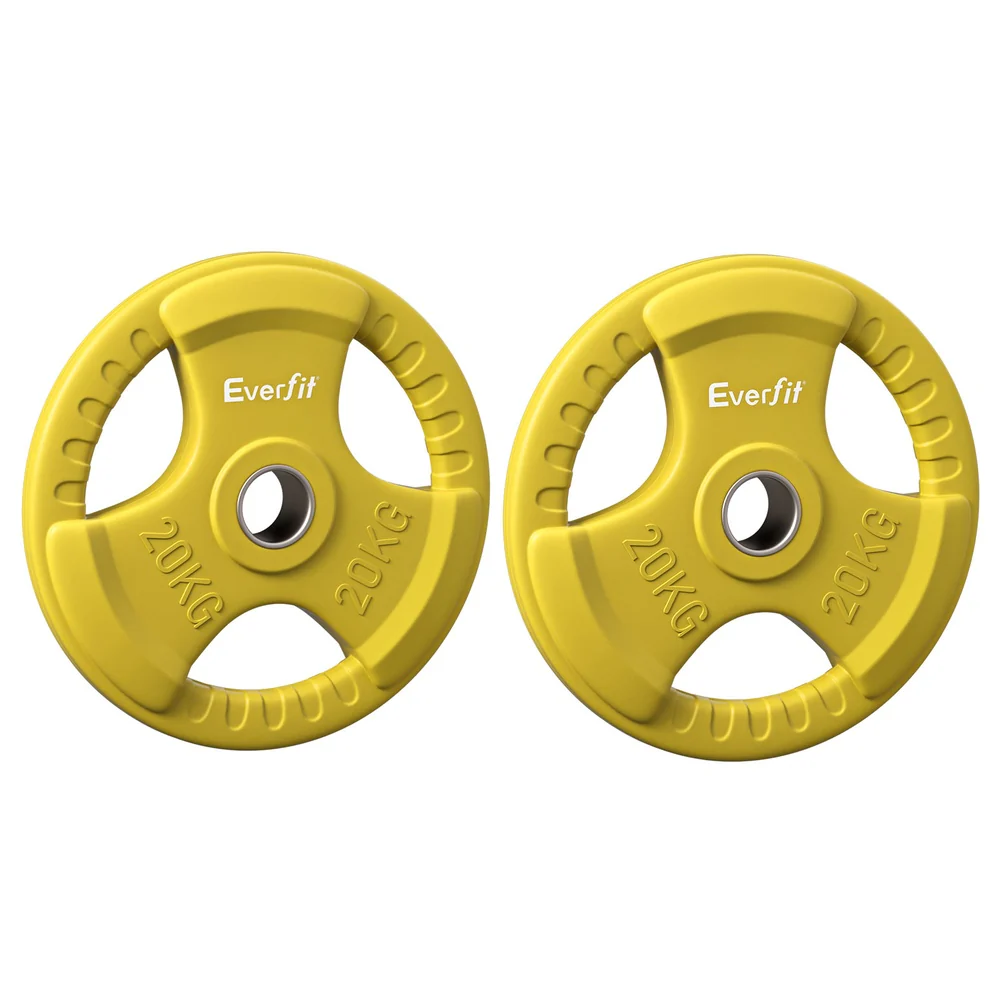 Everfit Weight Plates Standard 20kgx2 Dumbbell Barbell Plate Weight Lifting Home Gym Yellow - Image 4